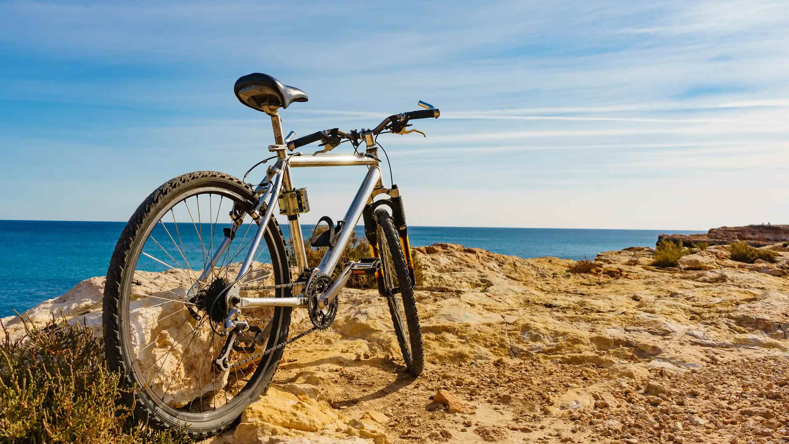 bicycle-on-the-beach-shutterstock1589647978.jpg