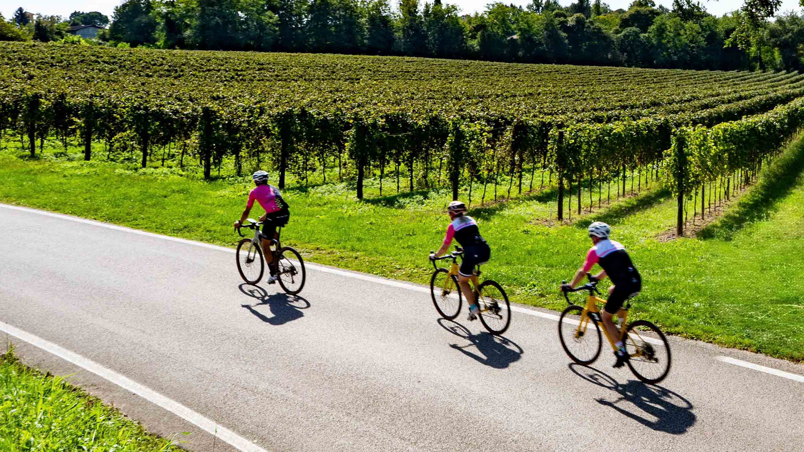 bikers-on-the-alpe-adria