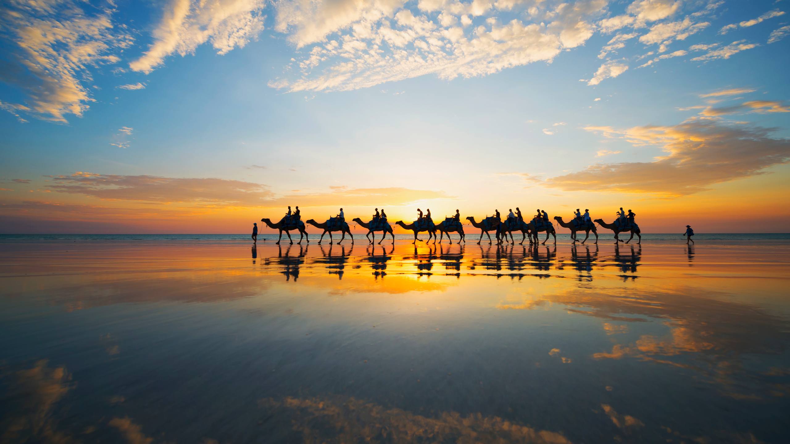 Broome Cable Beach Camels
