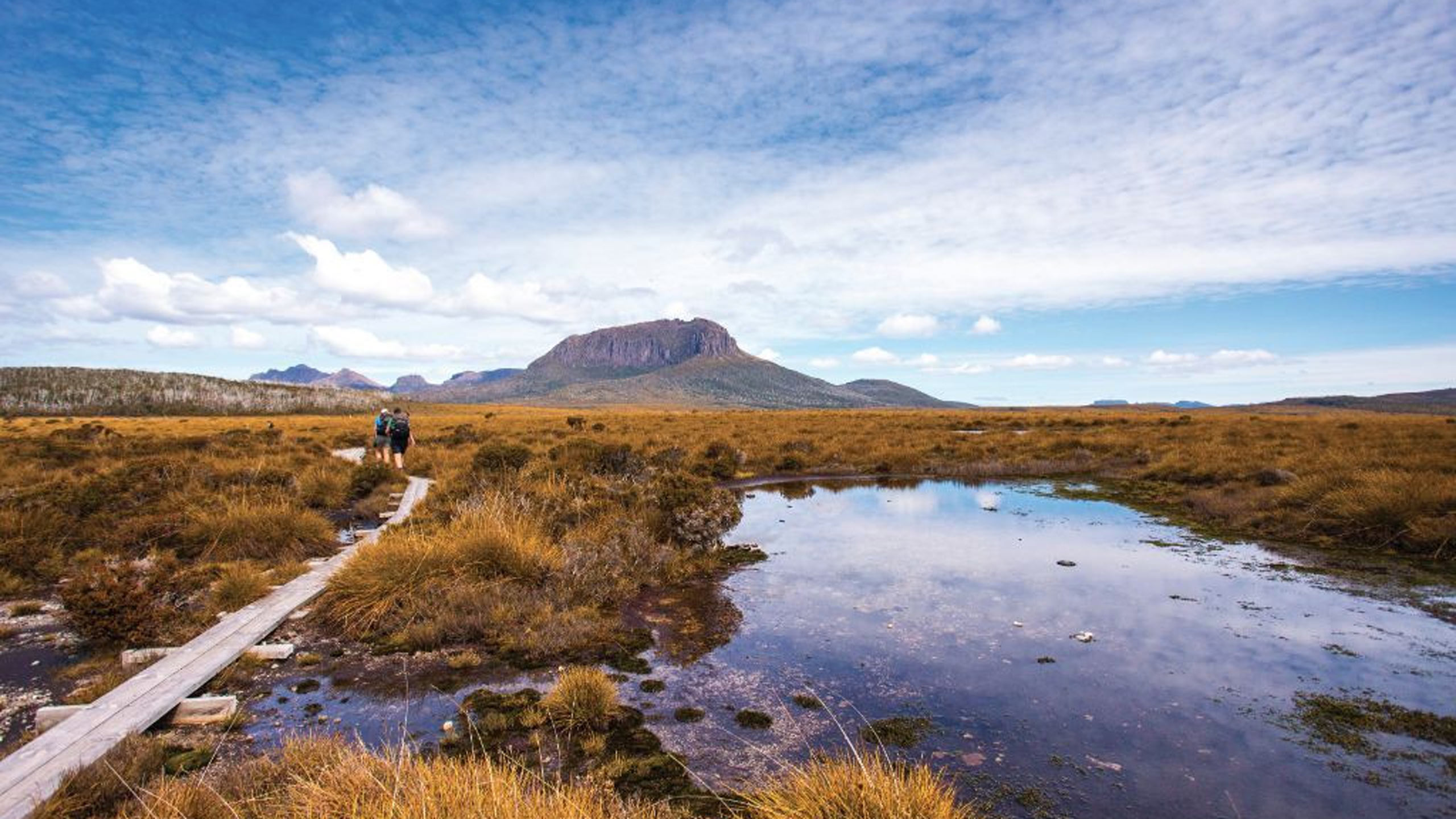 cradle-mountain-overland-walks-tasmania-track-summit