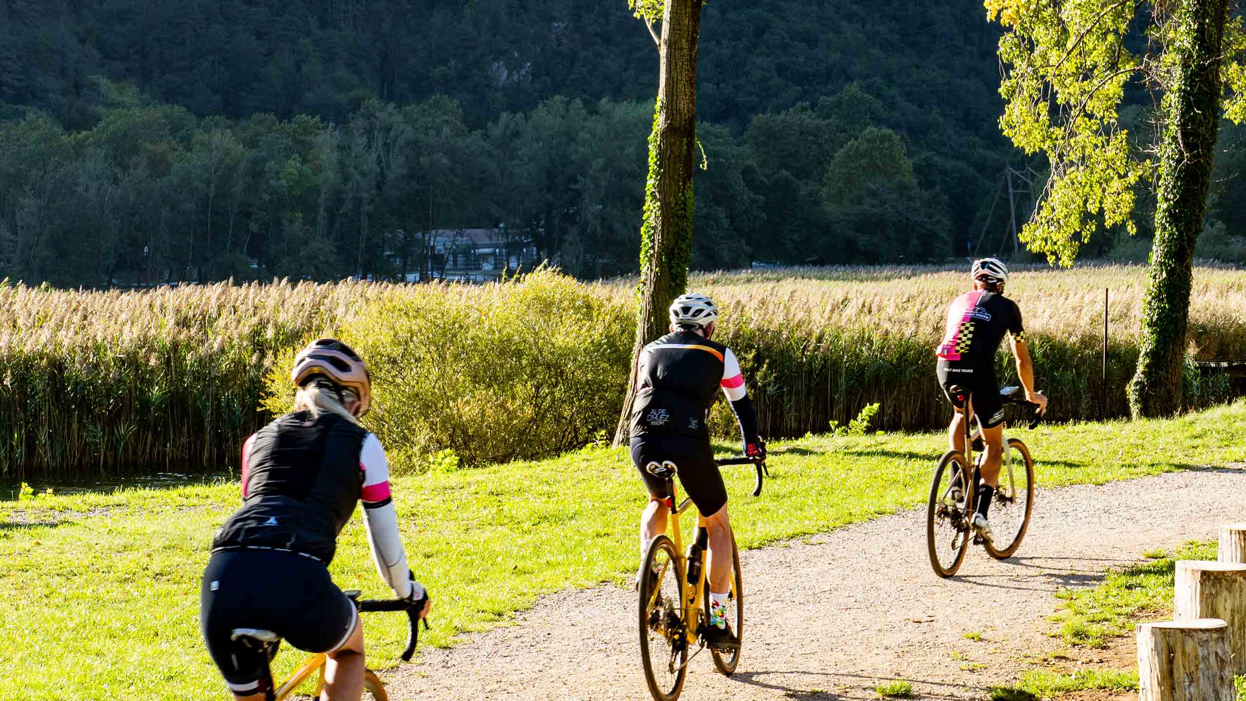 cyclists-on-the-alpe-adria-route