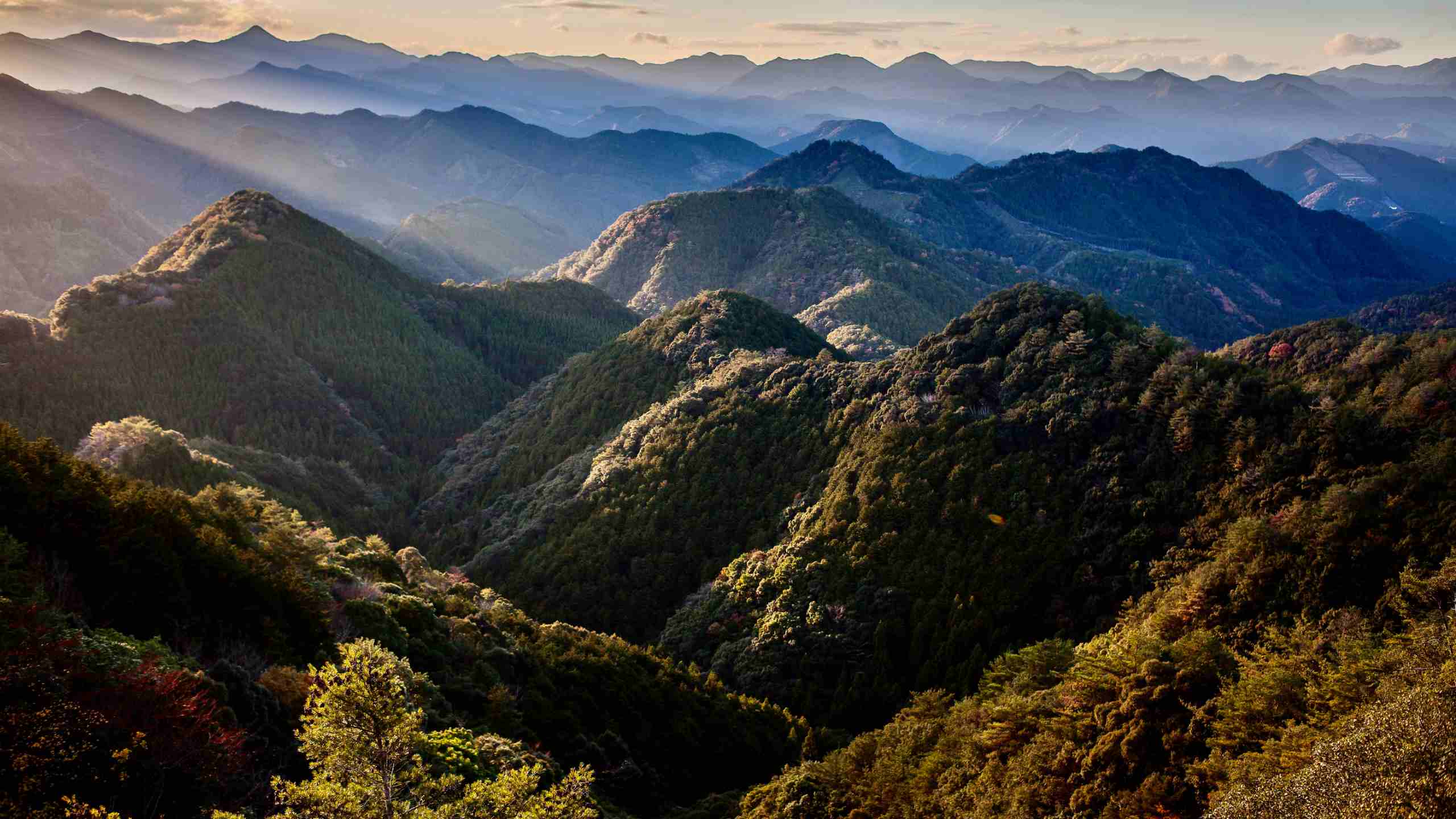 Where to say on the Kumano Kodo Pilgrimage Trail - The Nakahechi Route ...