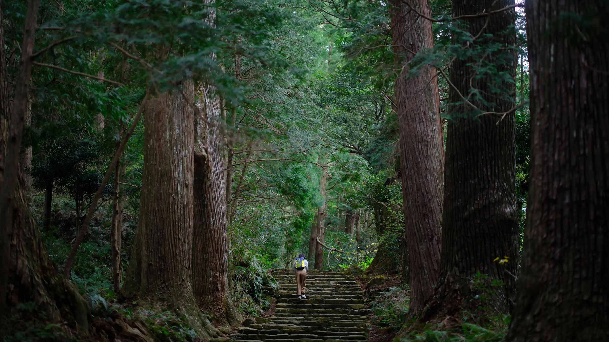 kumano-kodo-wakayama-japan-shutterstock1968562993