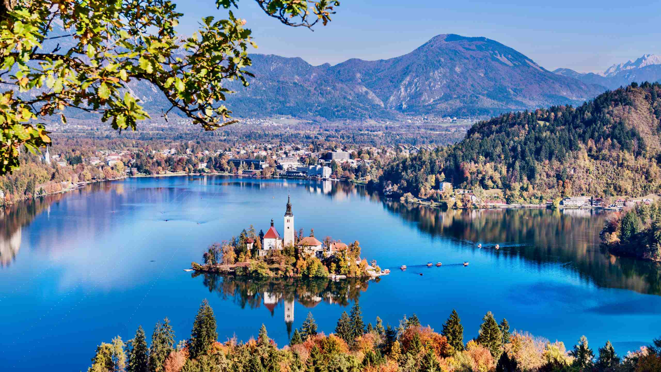 Lake Bled Slovenia By Olesya Baron