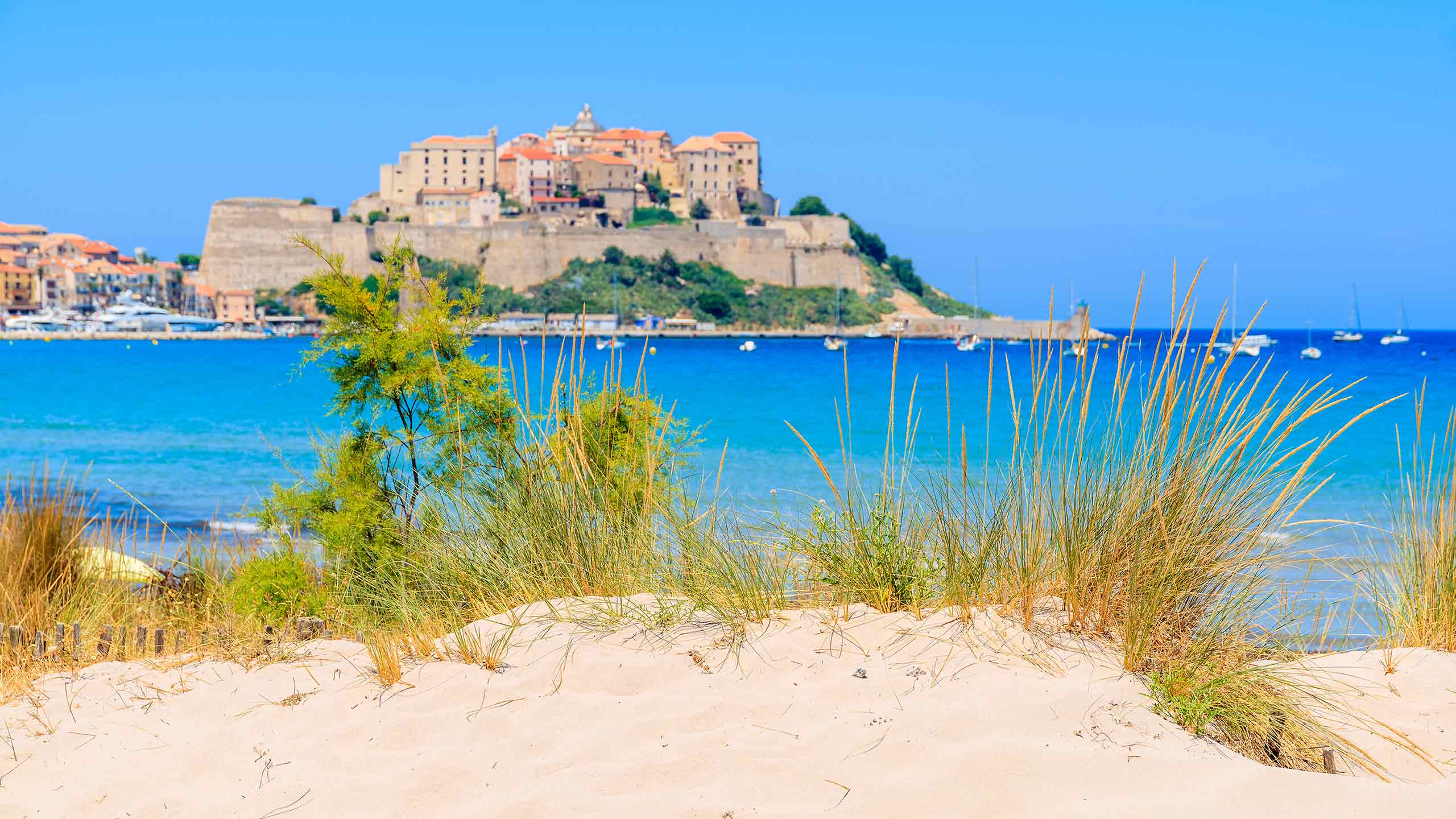 old-town-of-calvi-corsica-france