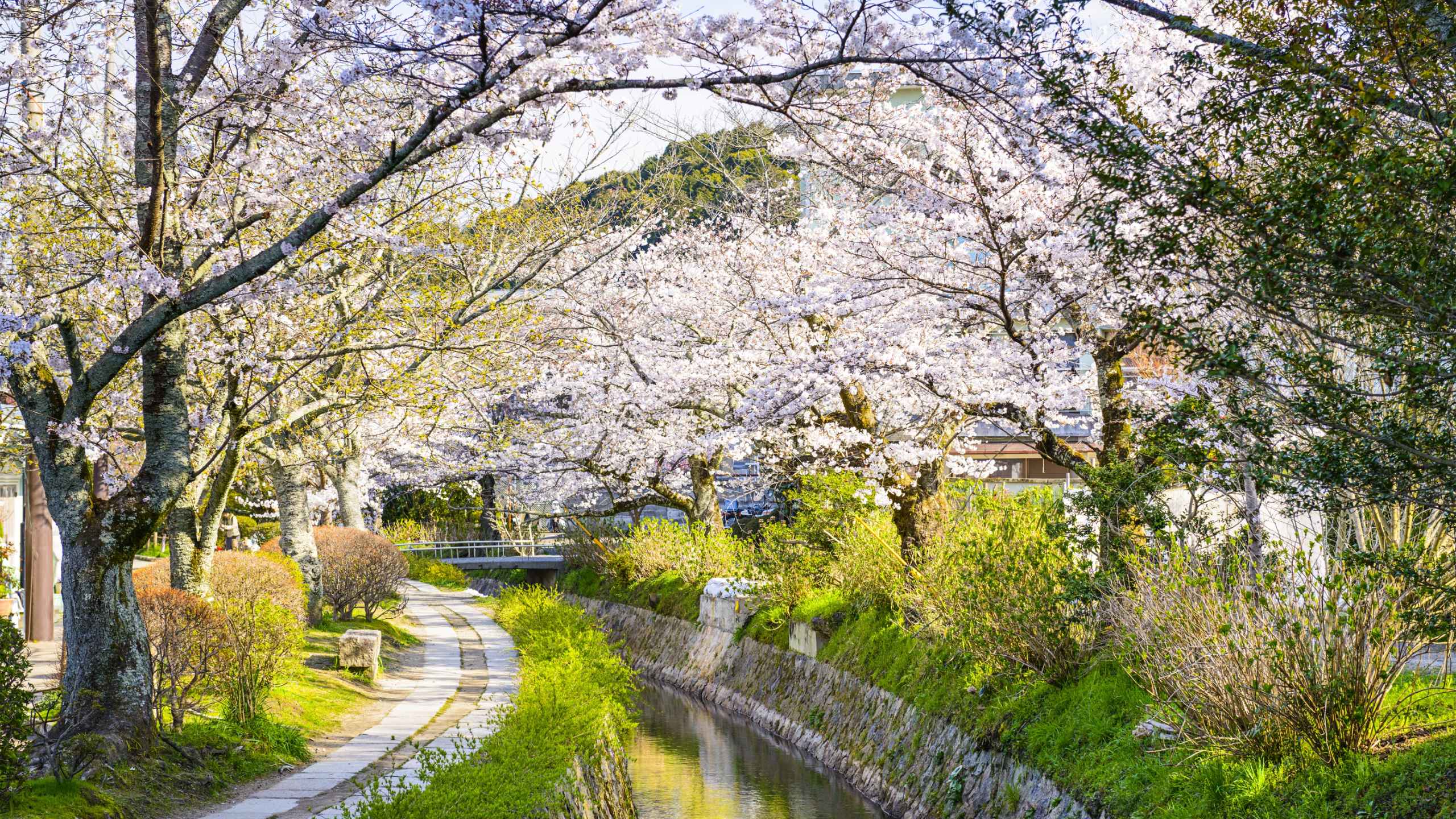 Philosopher's Path Kyoto Japan