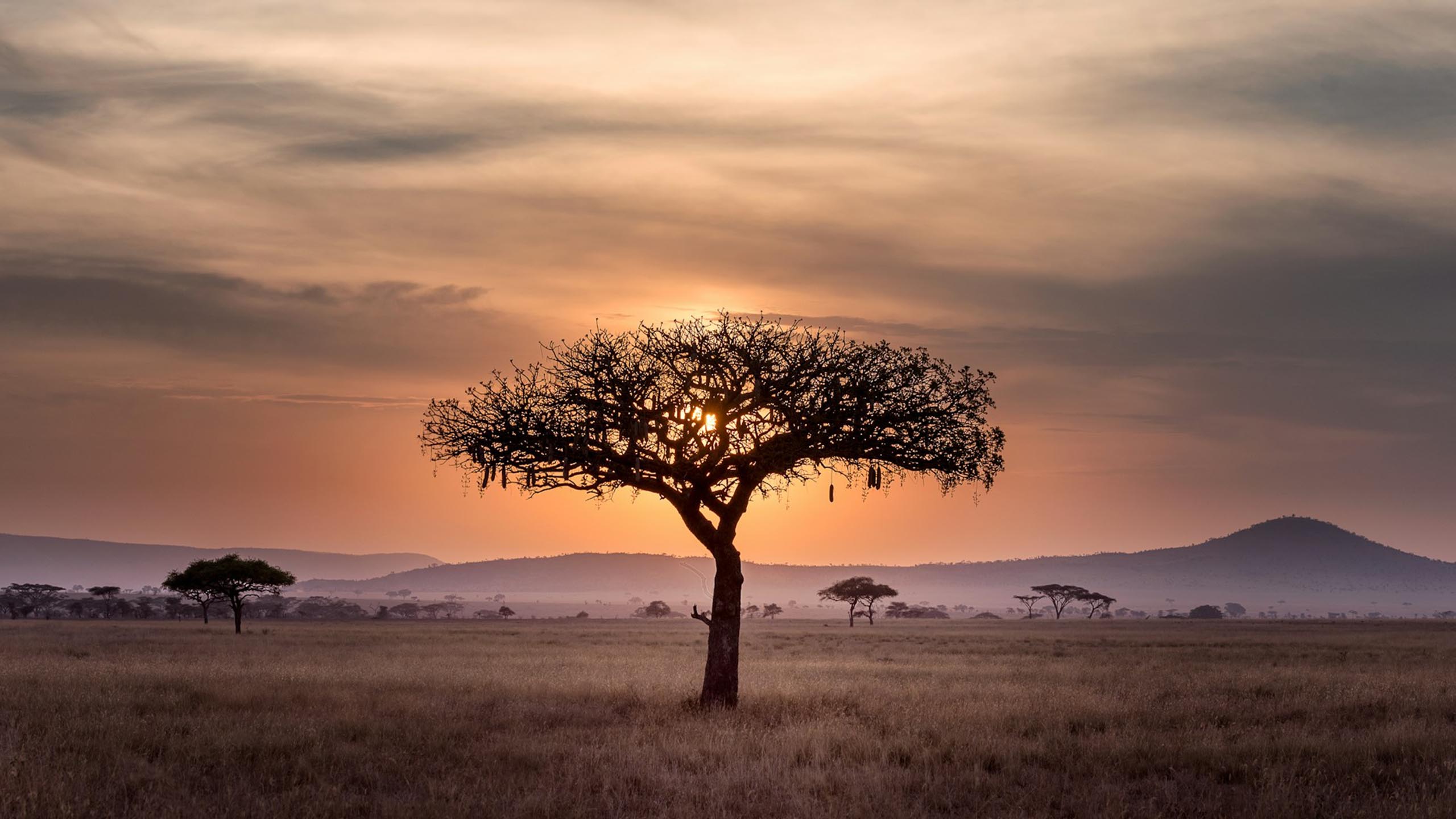 Tanzania by Hu Chen 