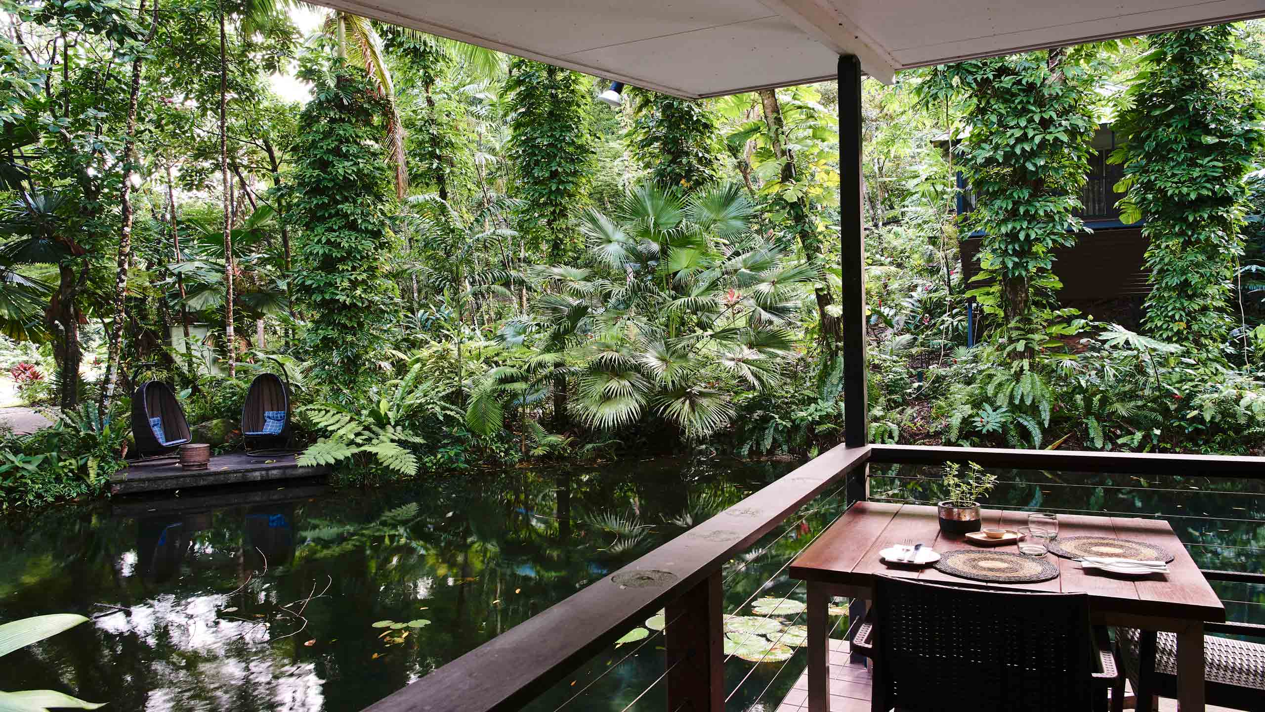 daintree-ecolodge-queelsand-accommodation-dining-in-the-rainforest