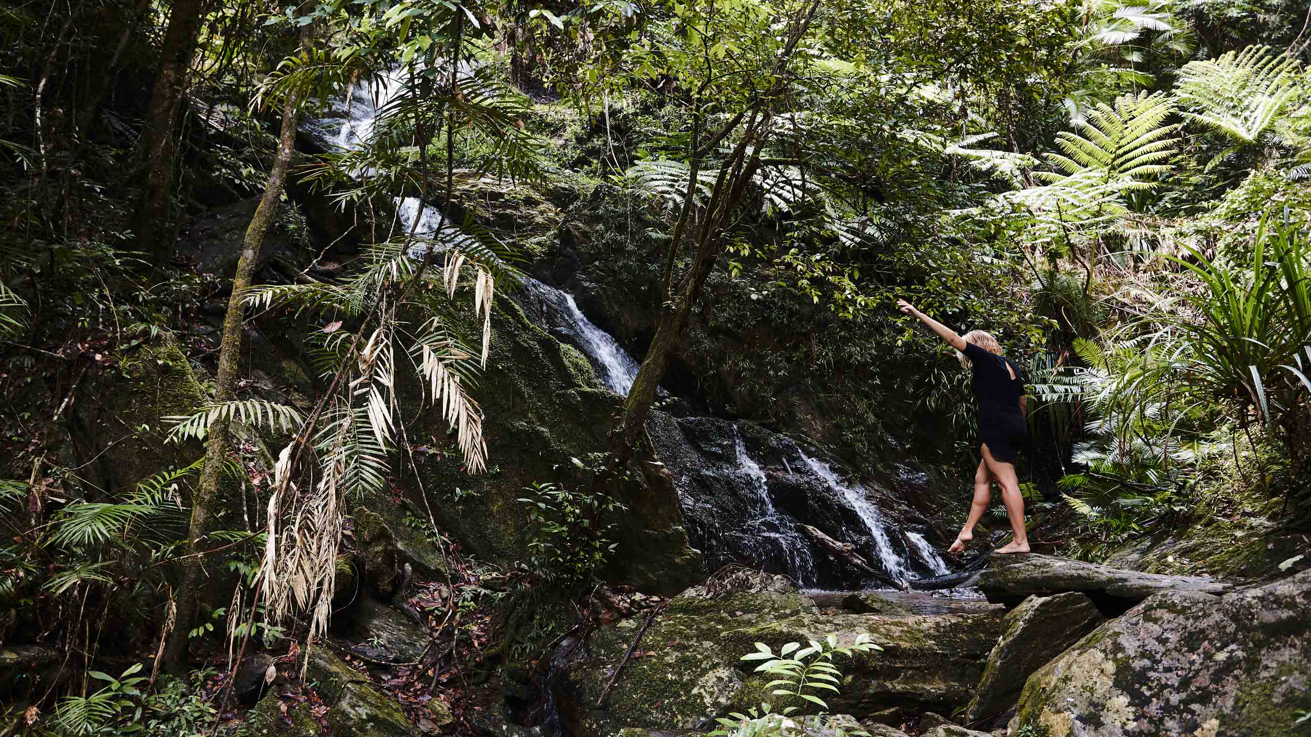 daintree-ecolodge-queelsand-accommodation-stunning-waterfall
