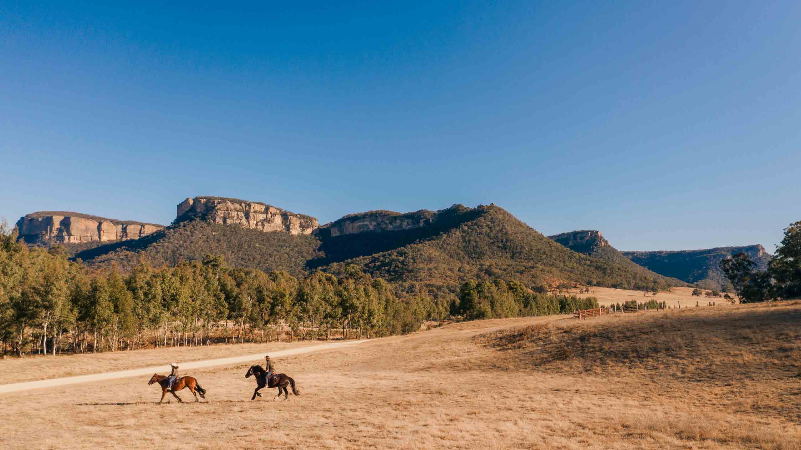 OneAndOnly-WolganValley-bluemountains-australia-galloping-horseriding