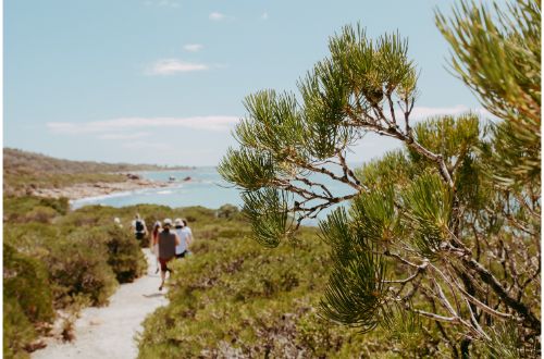 western-australia-cape-to-cape-track-meditation-walk-hike