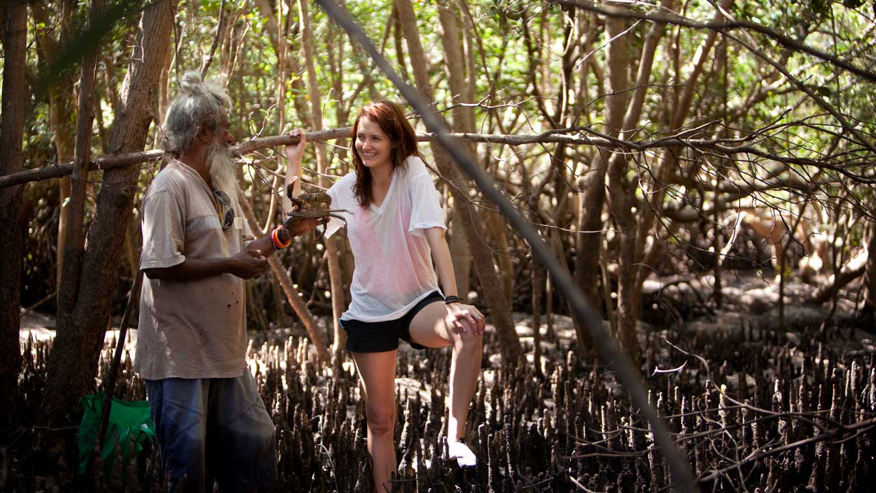 kooljaman-western-australia-accommodation-tour-in-mangroves