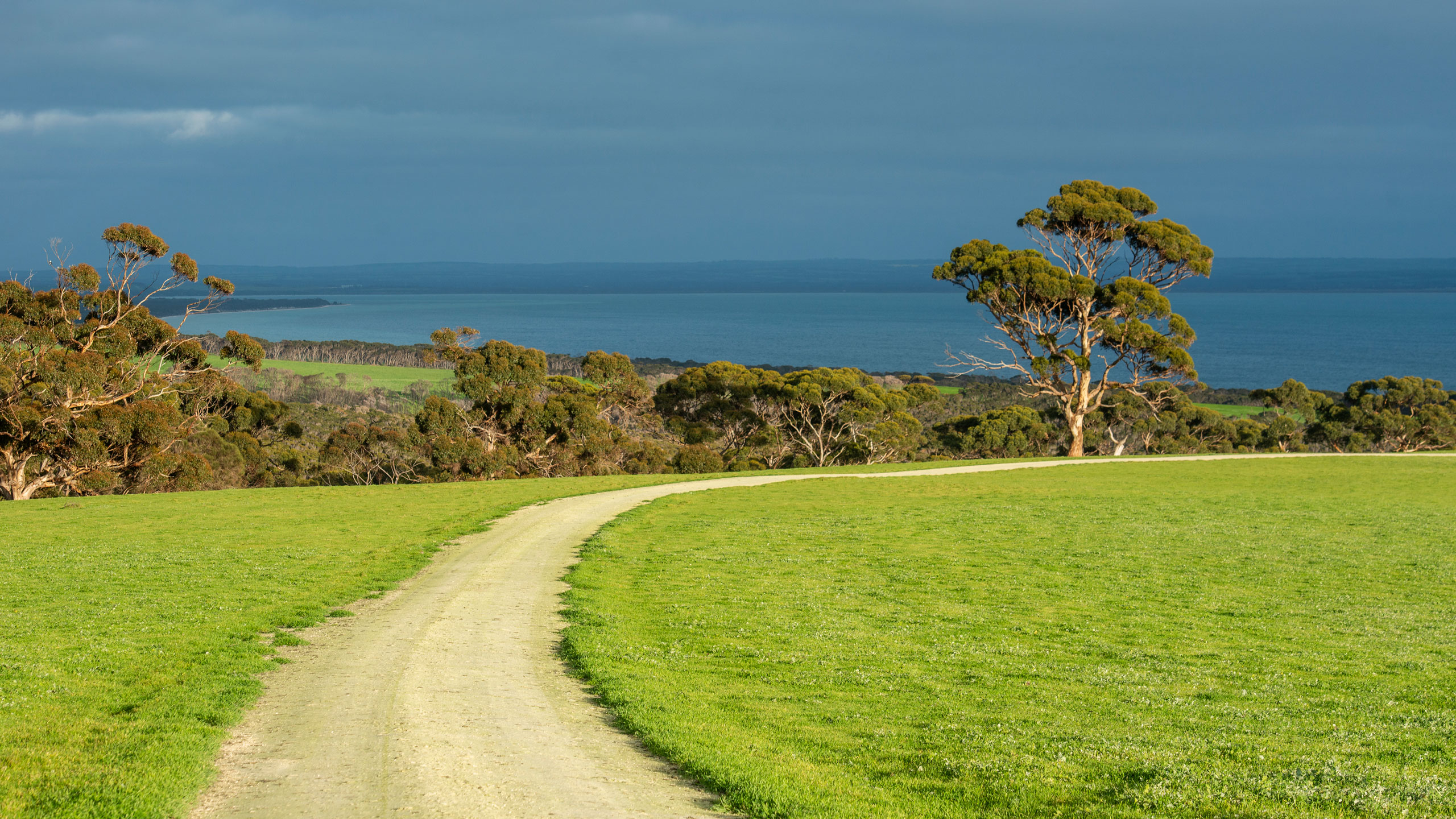 ocean-view-eco-villas-kangaroo-island-driveway
