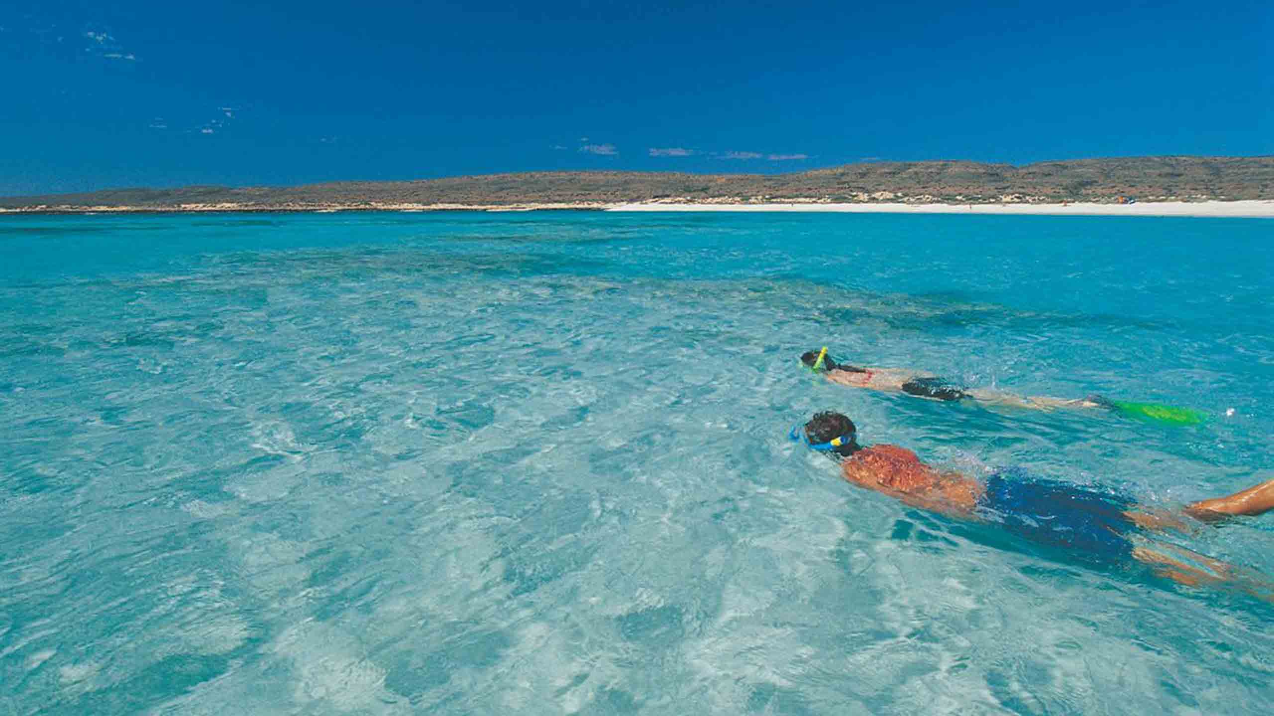 sal-salis-nigaloo-reef-snorkeling-among-pristine-waters