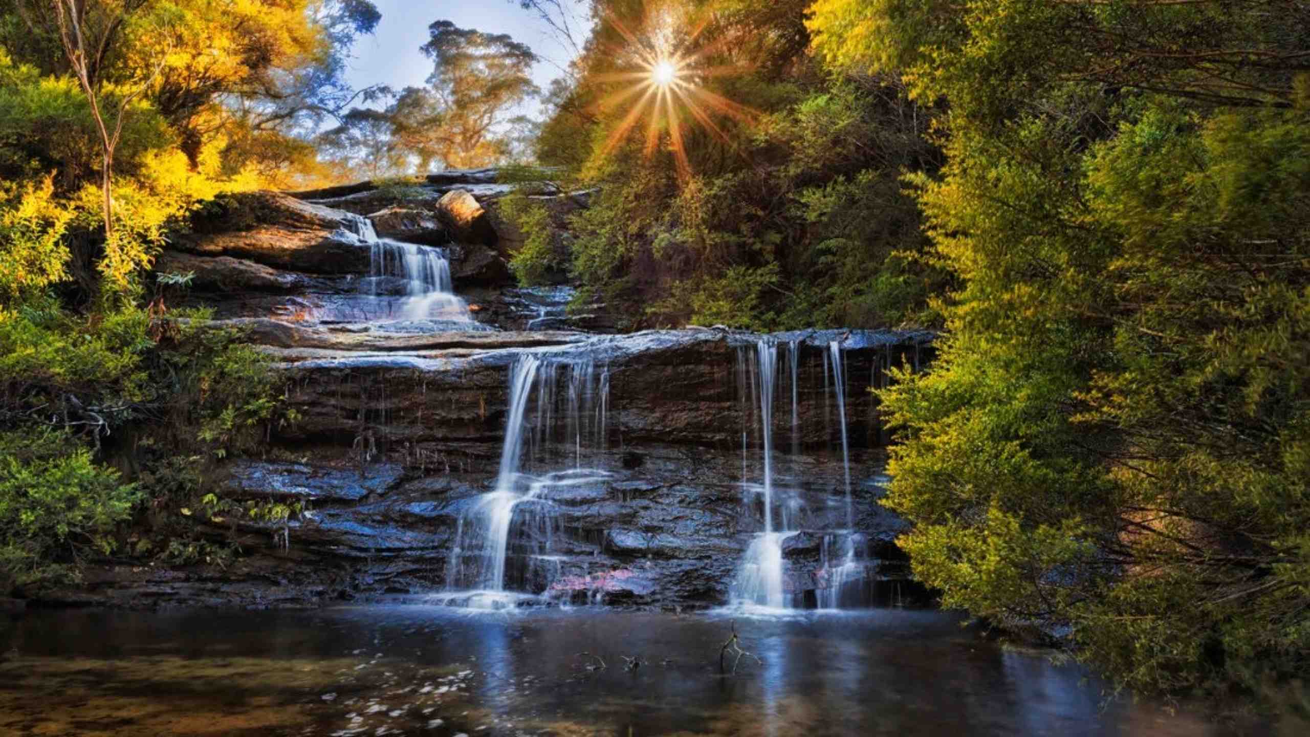spicers-sangoma-retreat-blue-mountains-new-south-wales-australia-rainforest-waterfall