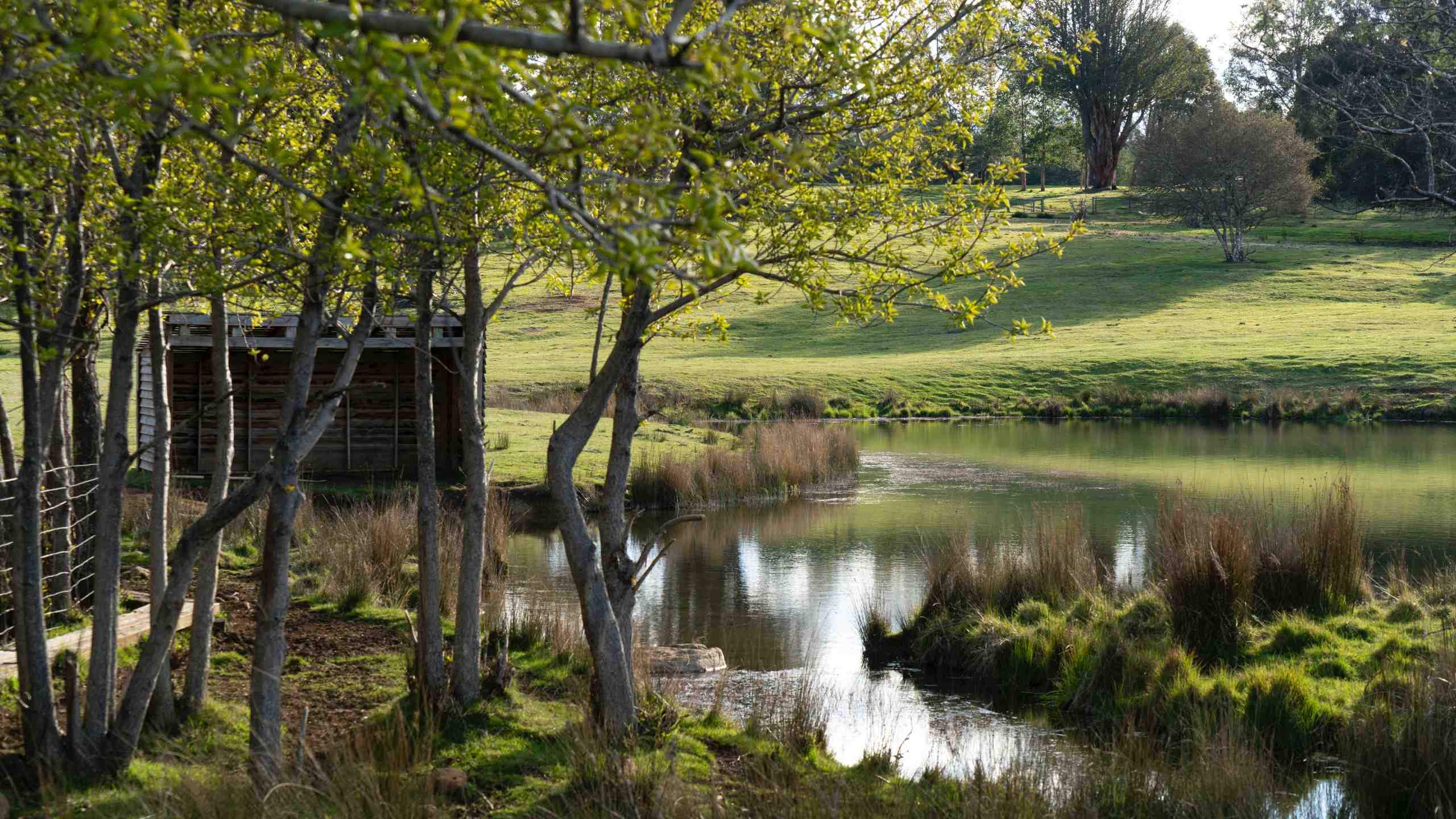 luxury-lodge-tarraleah-tasmania-australia-property-views