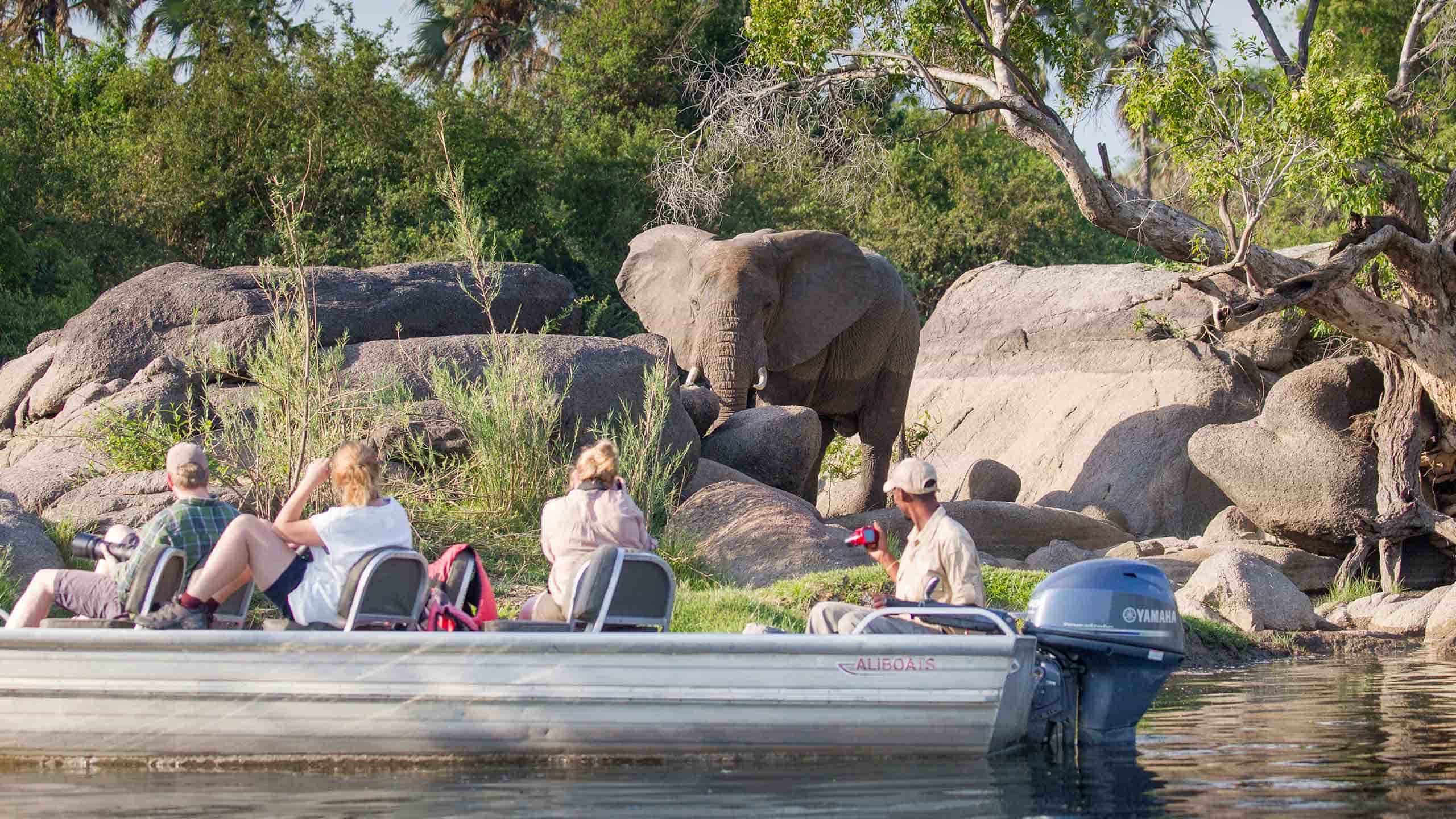 kaingu-safari-lodge-zambia-boat-cruise-elephant