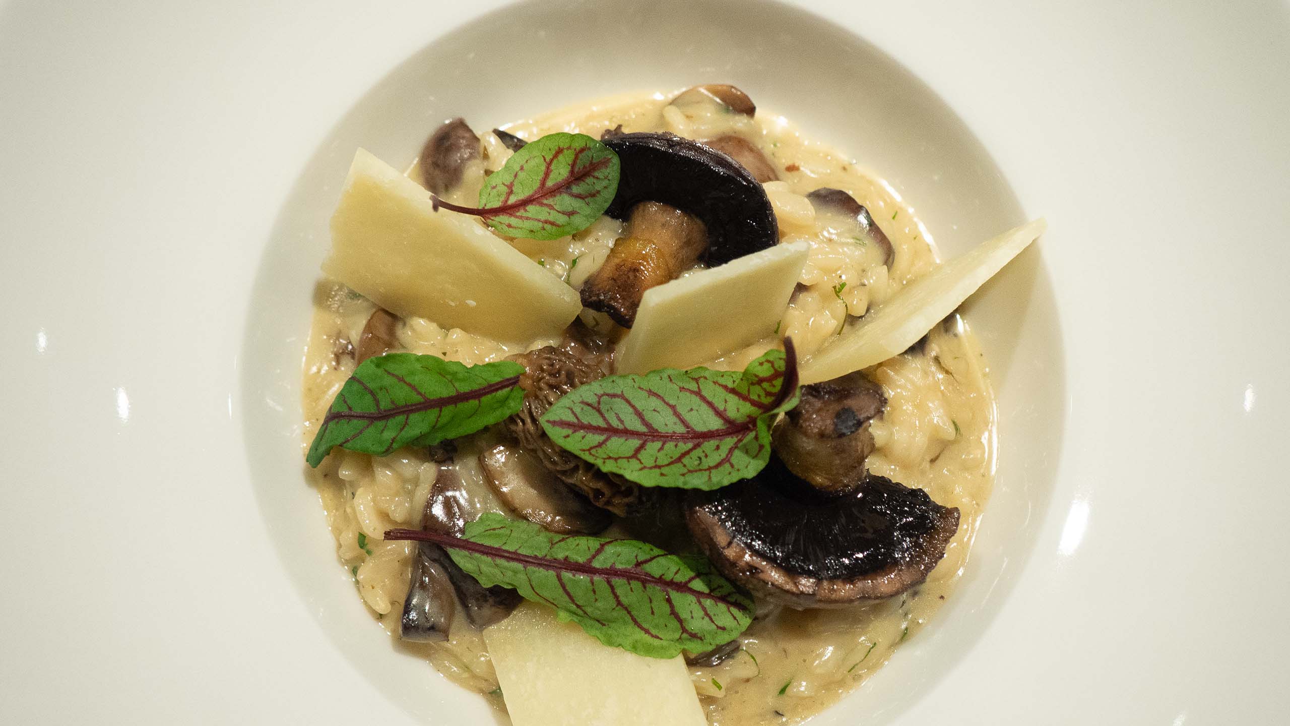 the-singular-patagonia-chile-mushroom-risotto