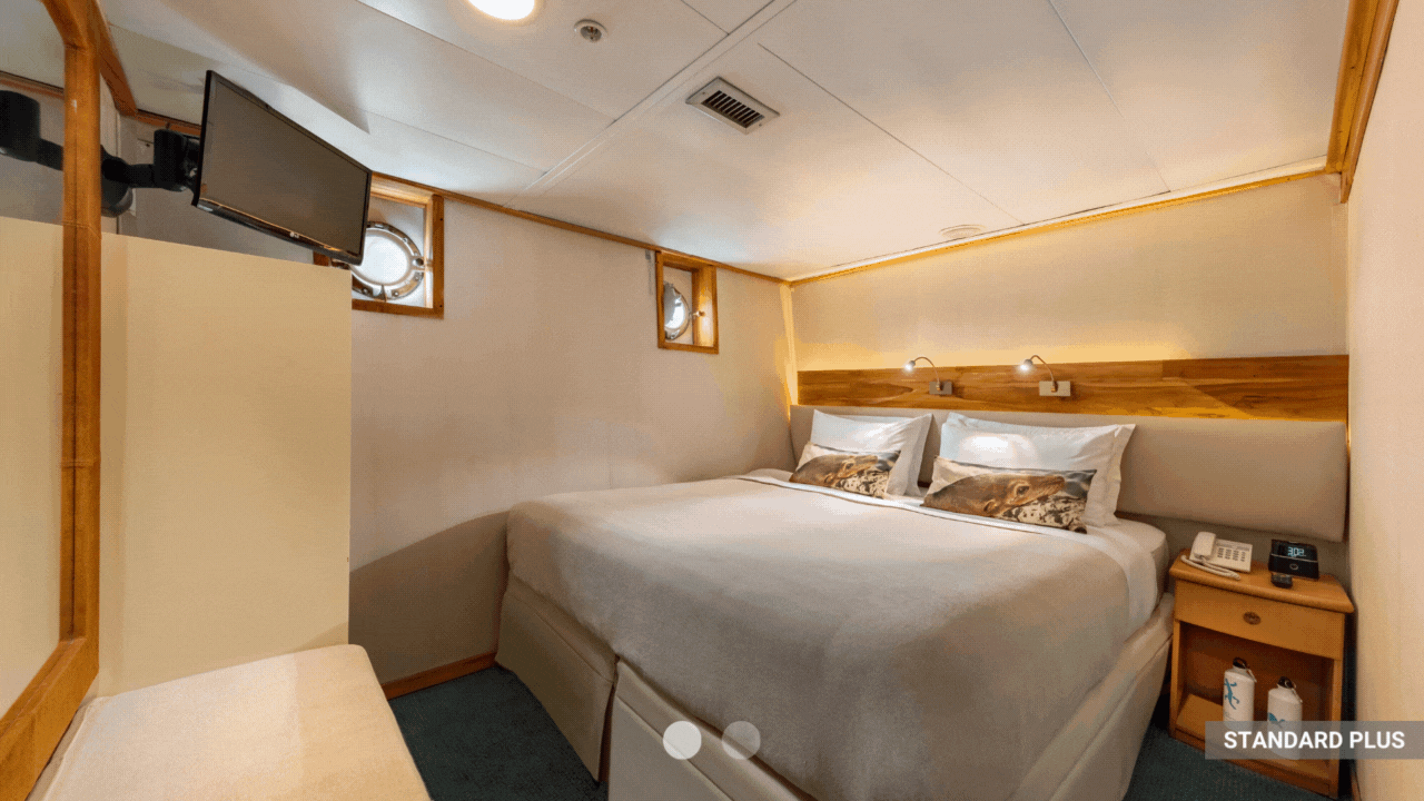coral-i-and-coral-ii-galapagos-cruises-room-types