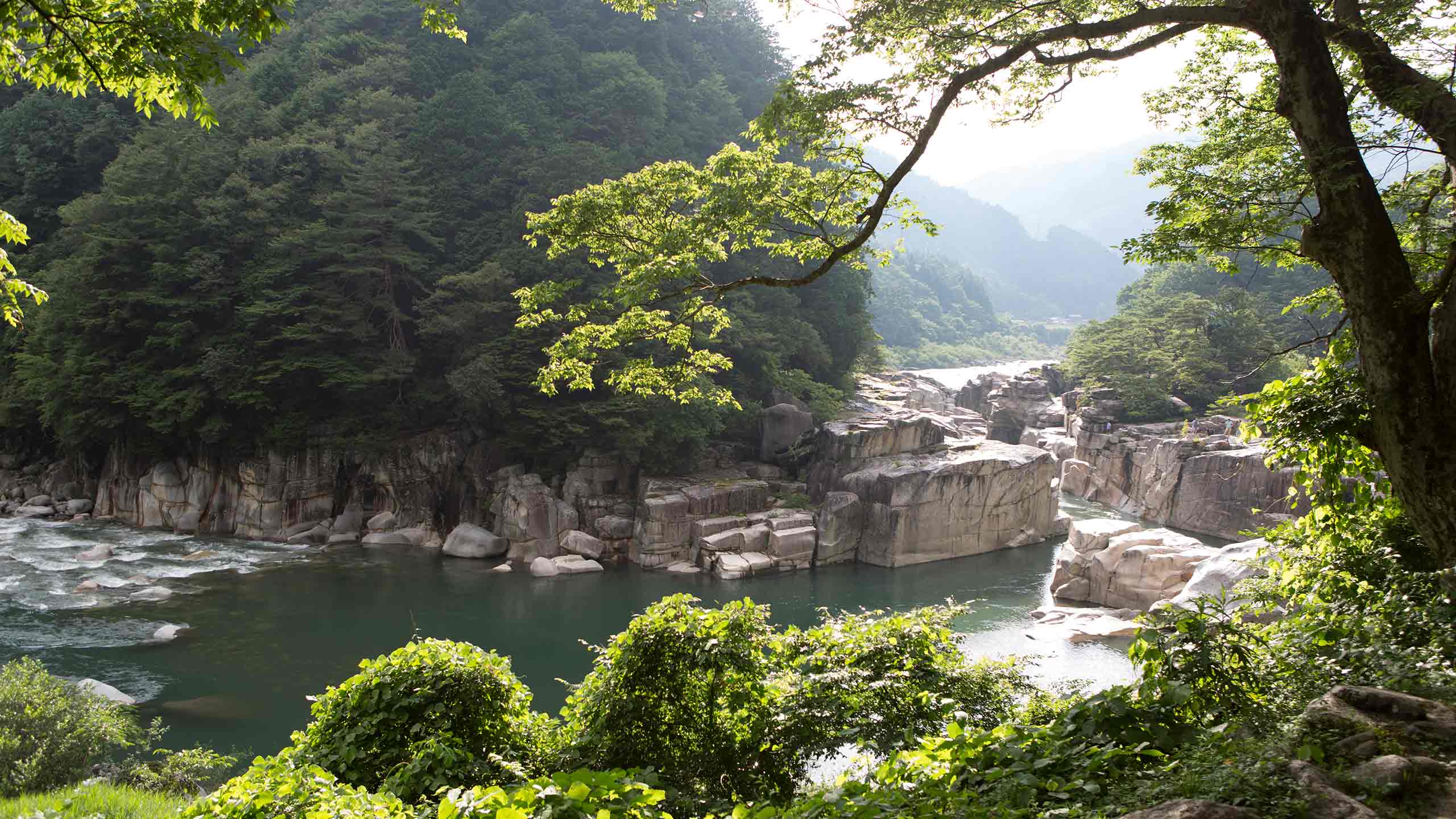 zenagi-the-expedition-hotel-nagiso-japan-forest