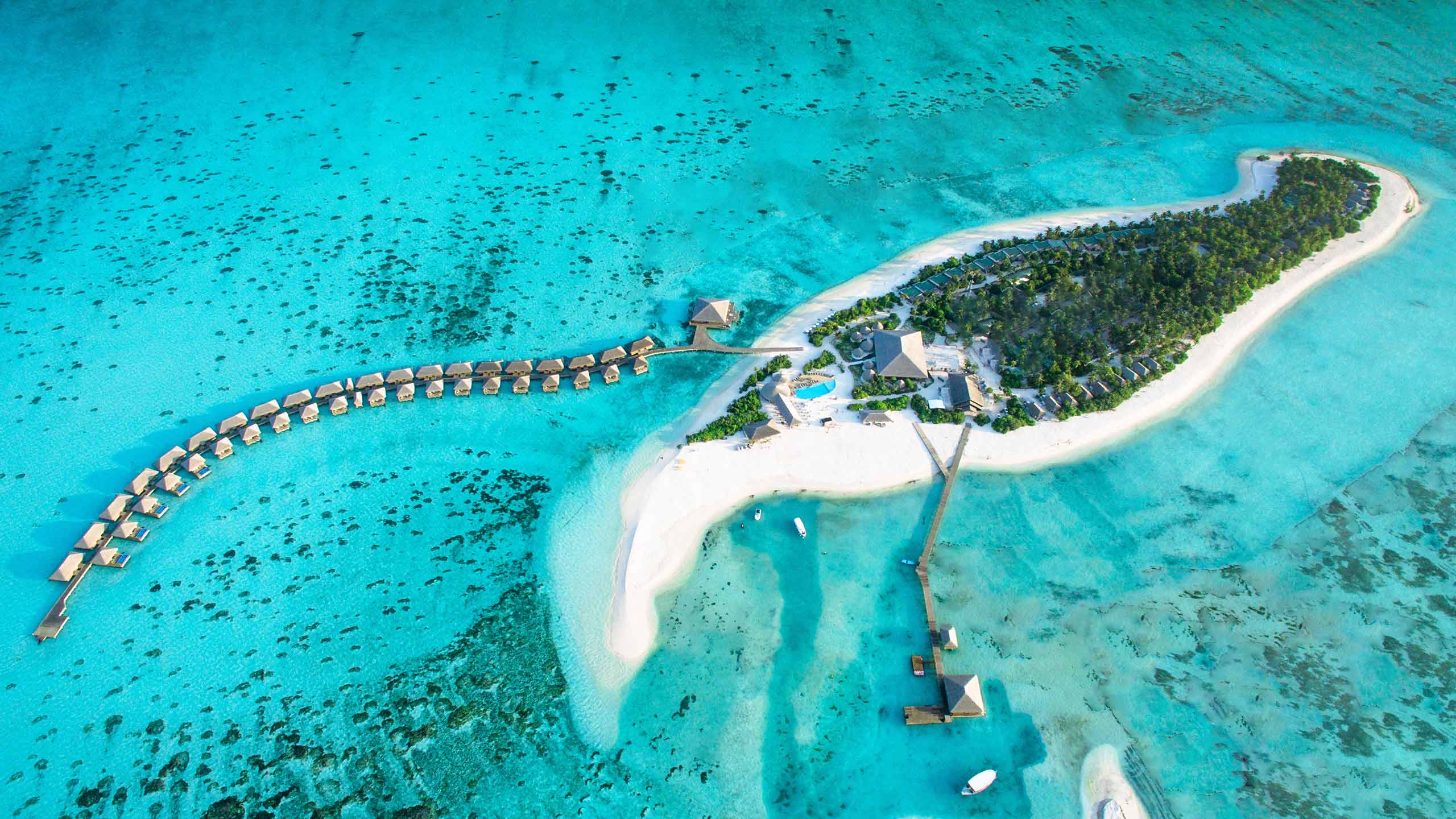 cocoon-maldives-aerial-view