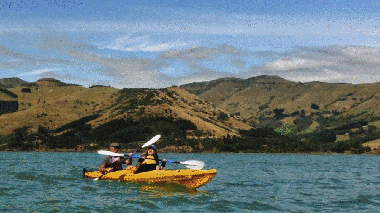 annandale-new-zealand-activities