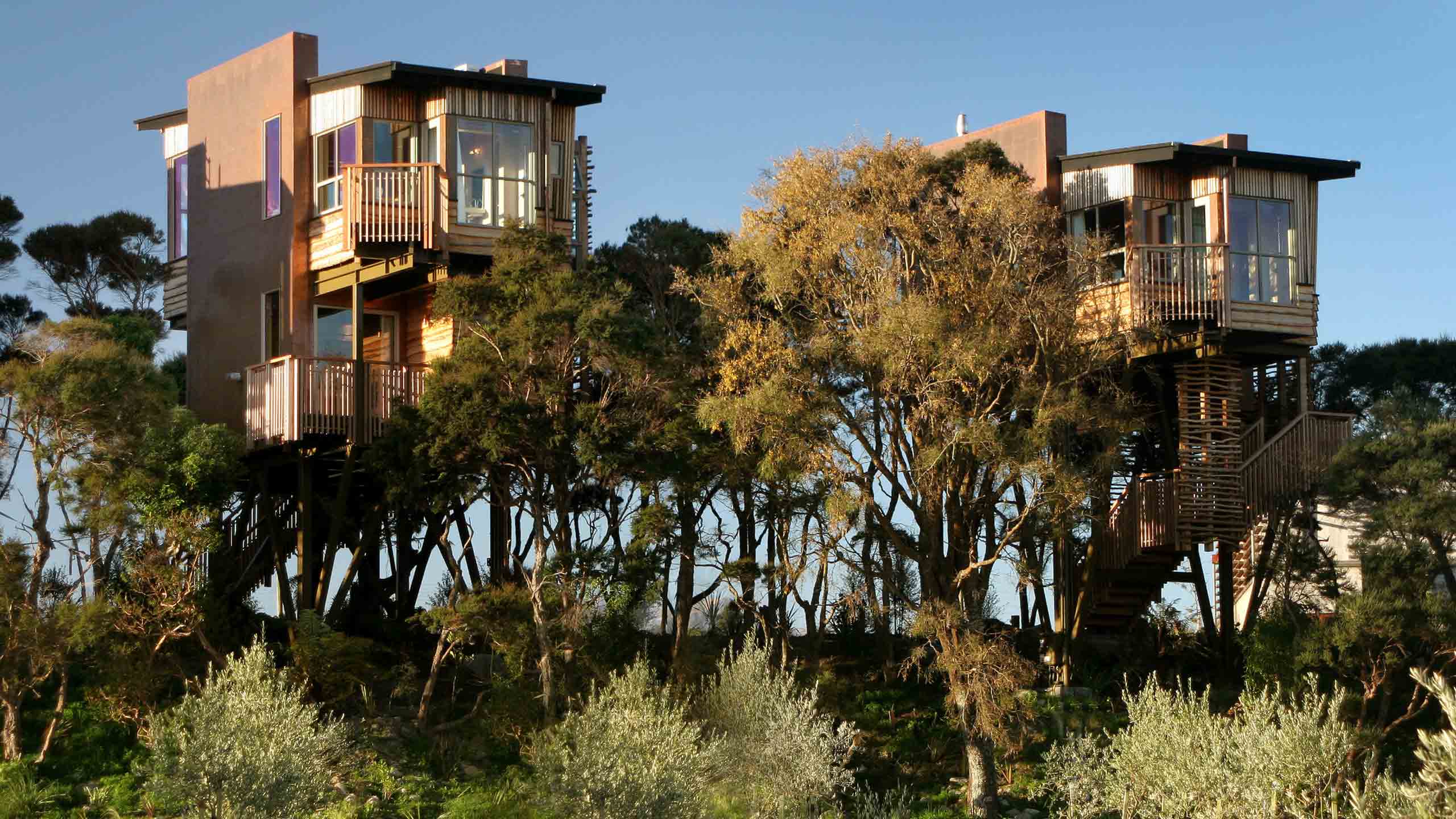 hapuku-lodge-and-treehouse-luxury-new-zealand-treehouse-from-olive-grov