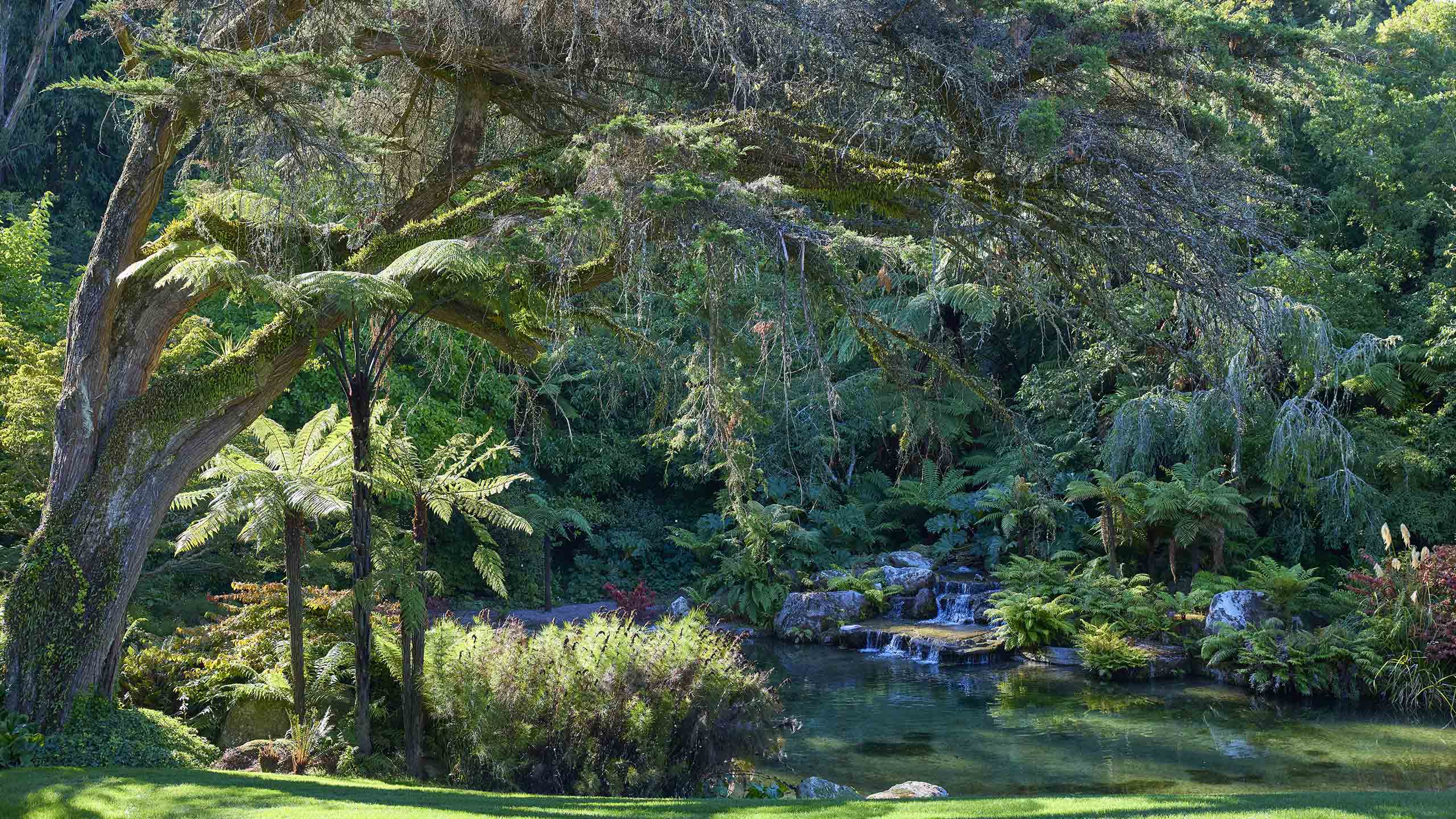 established-gardens-huka-lodge-taupo-new-zealand