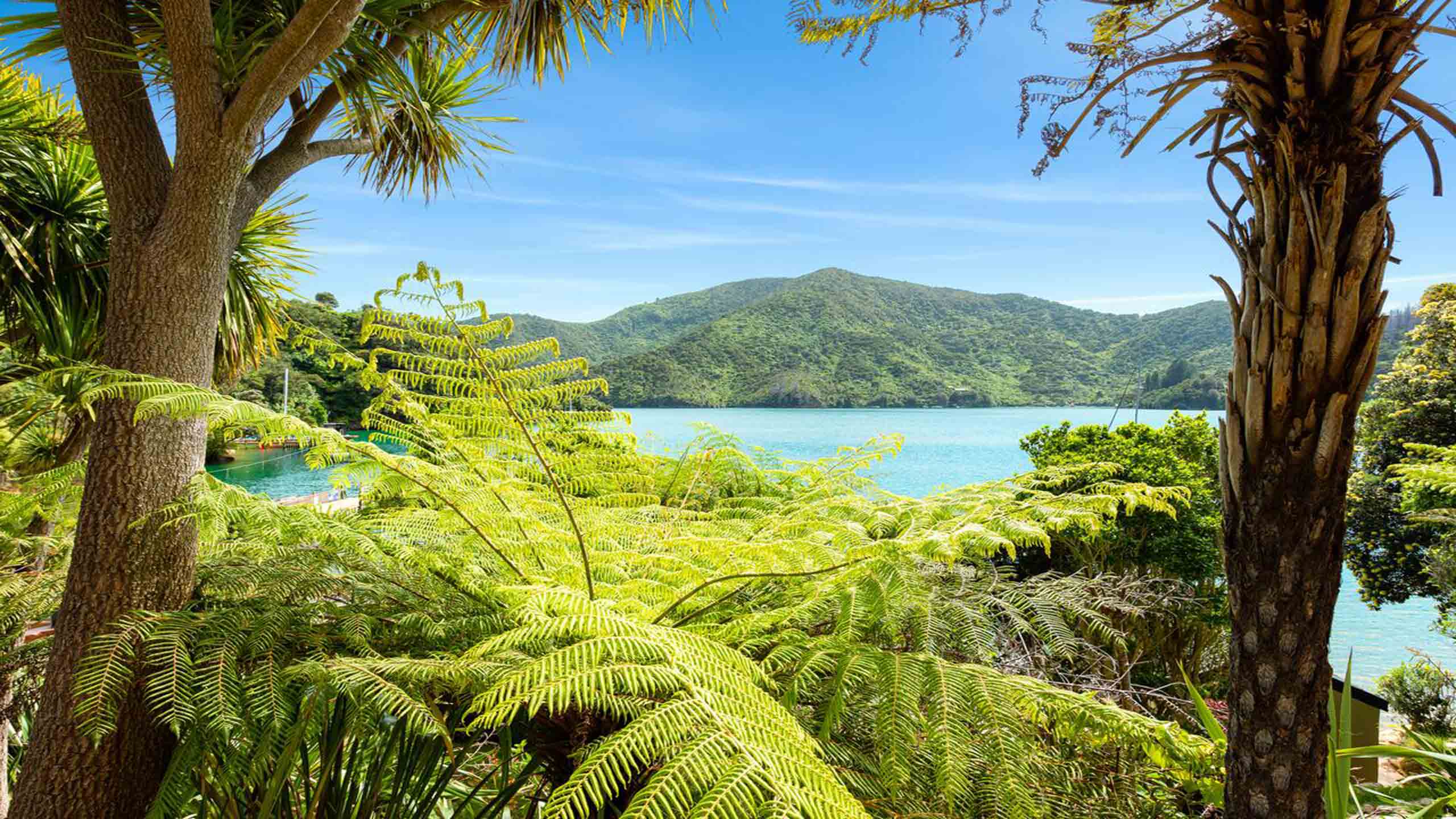 lochmara-lodge-marlborough-new-zealand-view