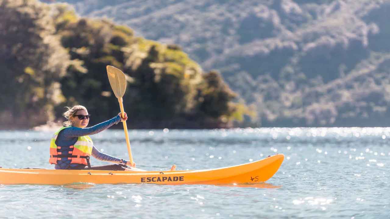 Punga-Cove-marlborough-new-zealand-woman-kayaking-Endeavour-Inlet