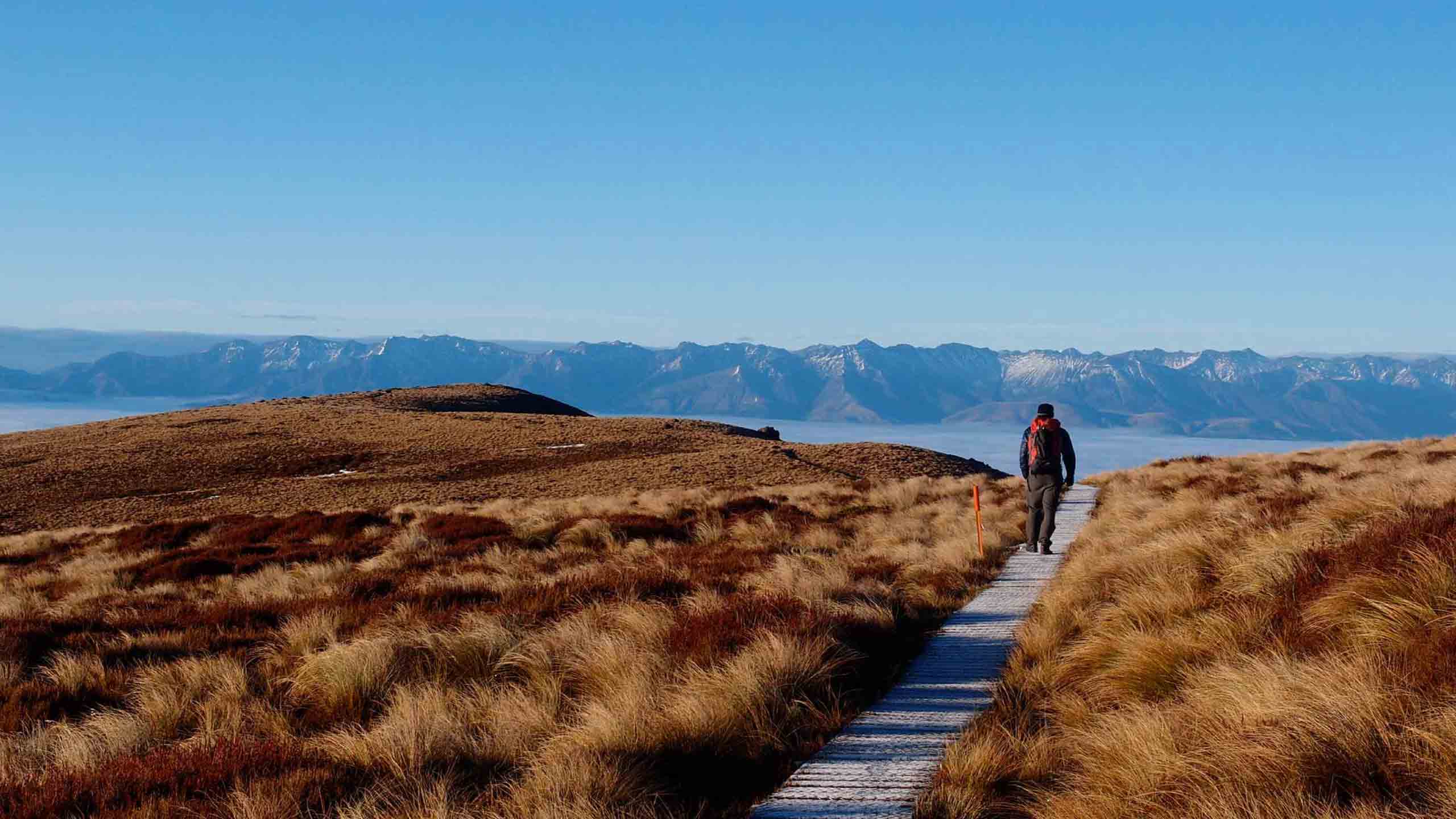 fiordland-walk-mountains-person