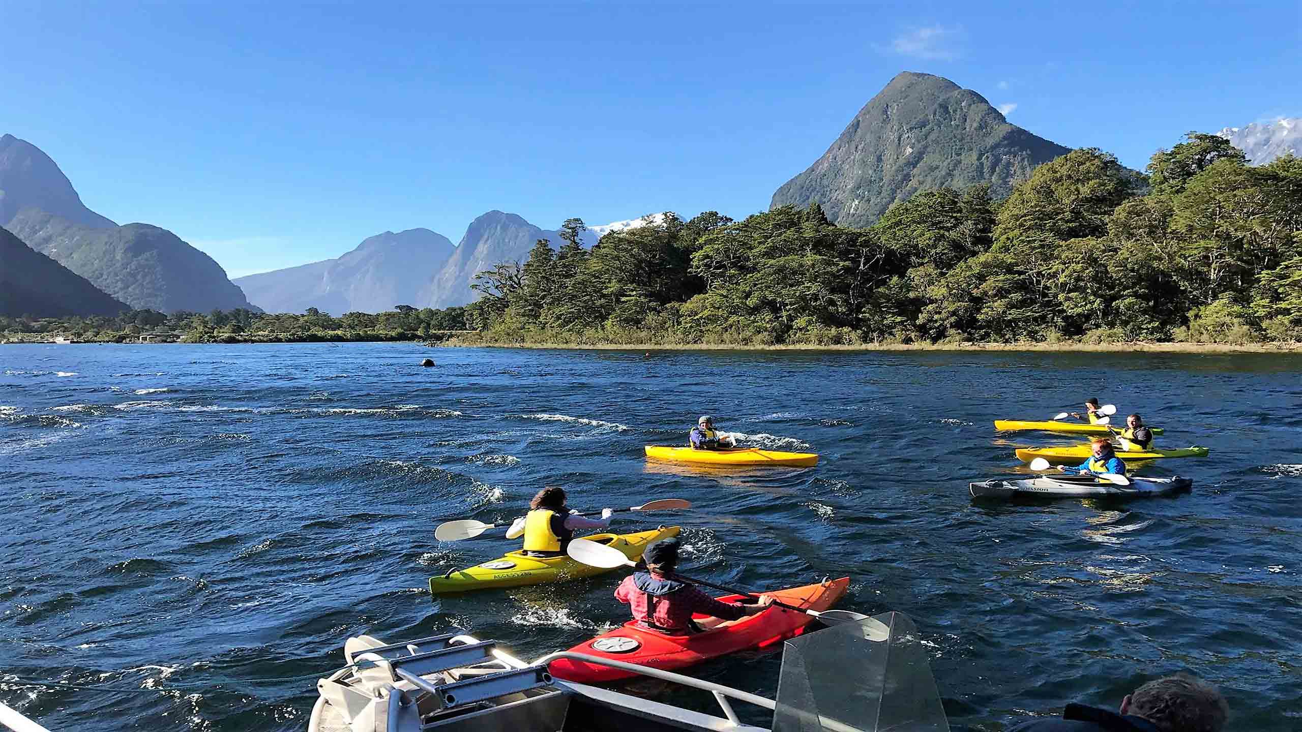 Fiordland-jewel-milford-sound-new-zealand-kayaking