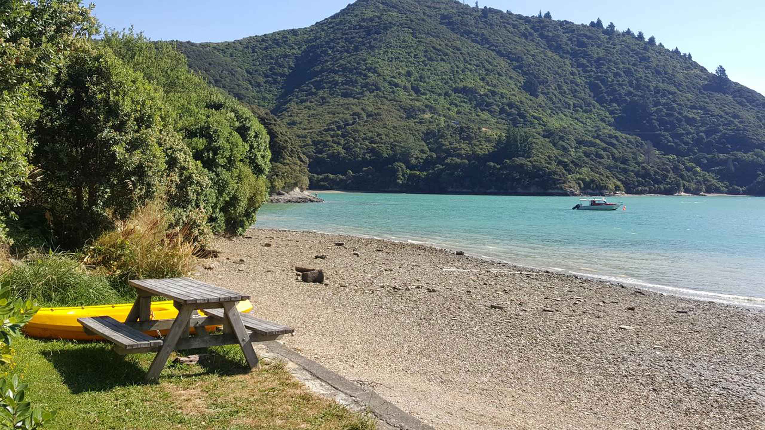 portage-resort-marlborough-picton-new-zealand-picnic-table-kayaks-beach