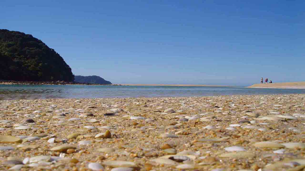 abel-tasman-walk-beach