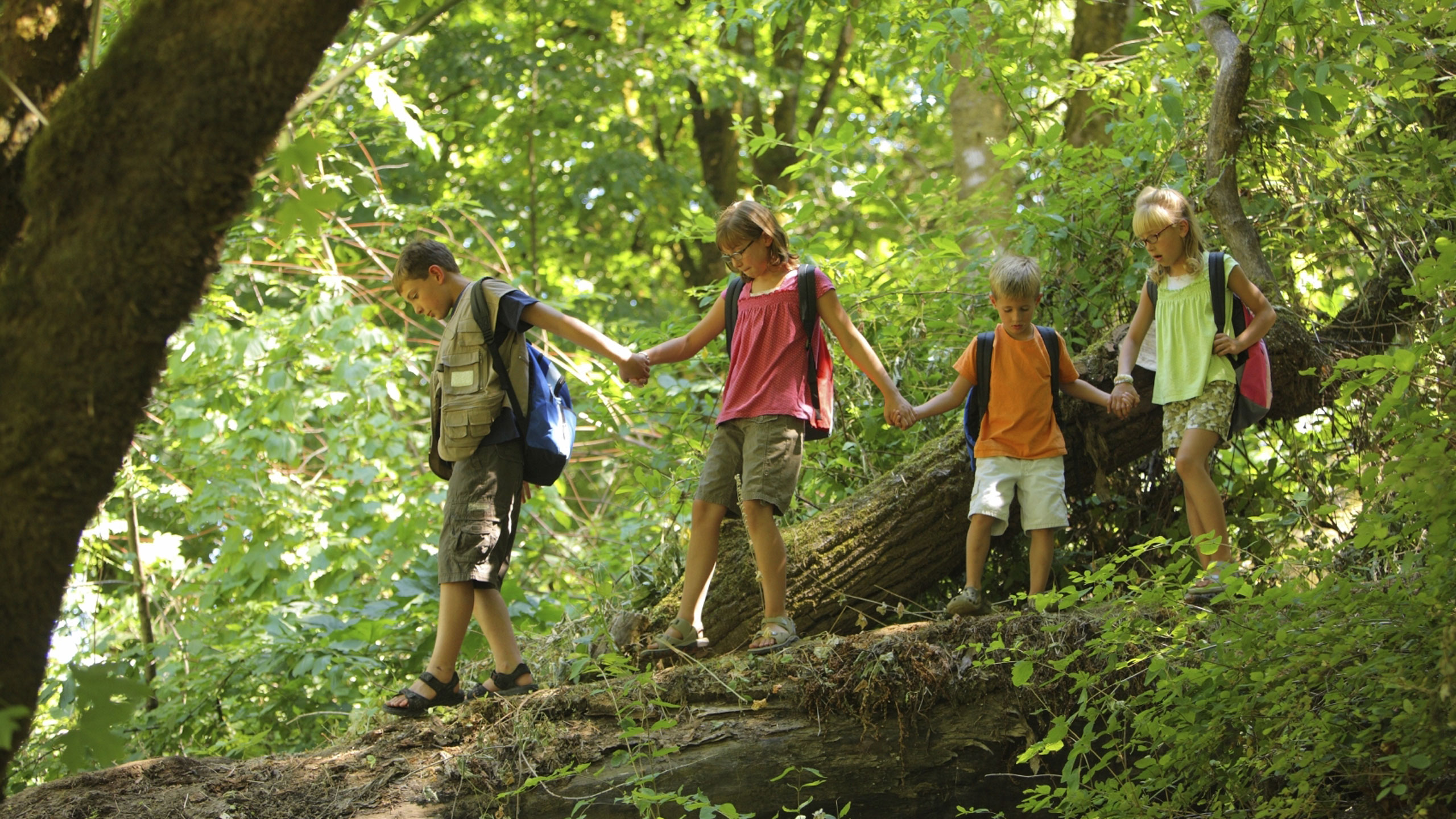 treetops-lodge-rotorua-new-zealand-children-in-wilderness