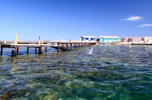 Abrolhos-Shallow-Water