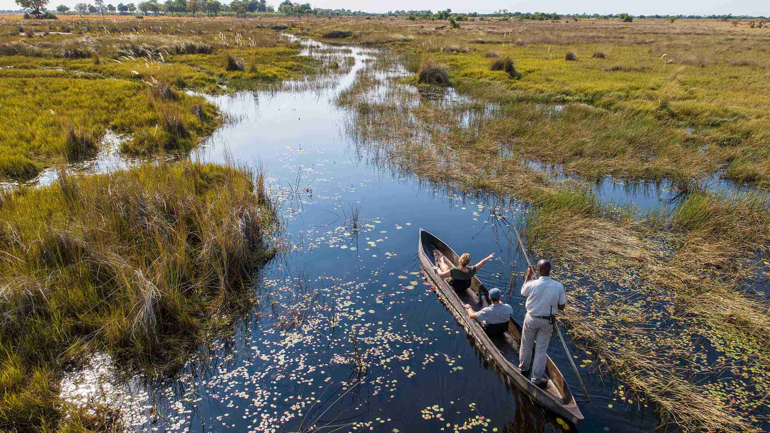 xugana-island-lodge-okavango-botswana-mokoro-activity