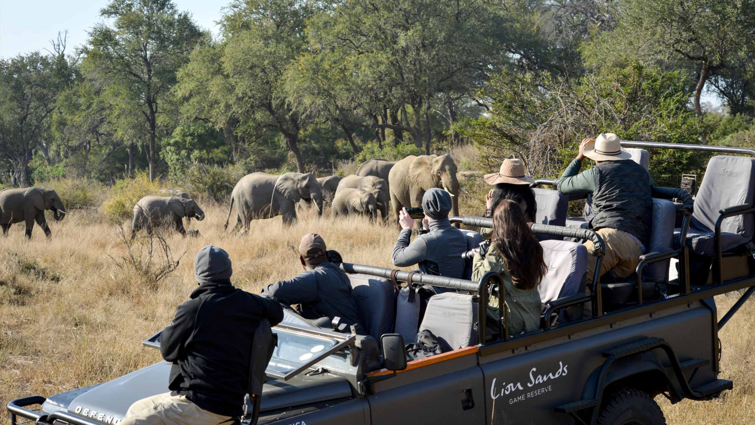 lion-sands-ivory-lodge-sabi-sands-game-reserve-south-africa-oh-safari-big-5