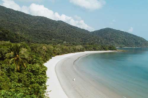 daintree-ecolodge-queelsand-accommodation-rainforest-fringed-beach