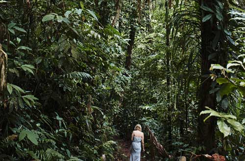 daintree-ecolodge-queelsand-accommodation-rainforest-walks