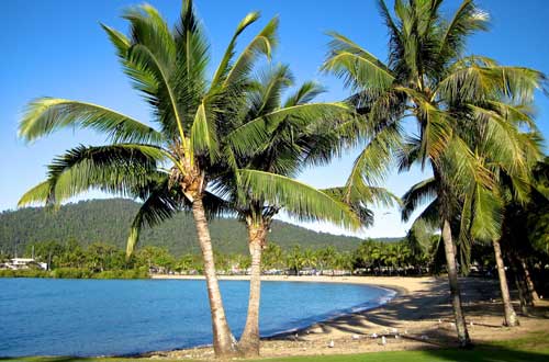 harbour-cove-airlie-beach-great-barrier-whitsundays-beach
