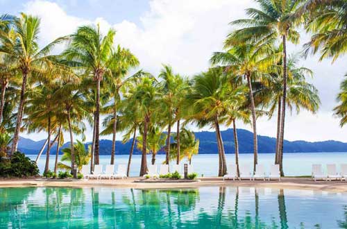 reef-view-hotel-great-barrier-reef-whitsundays-pool-palm-trees