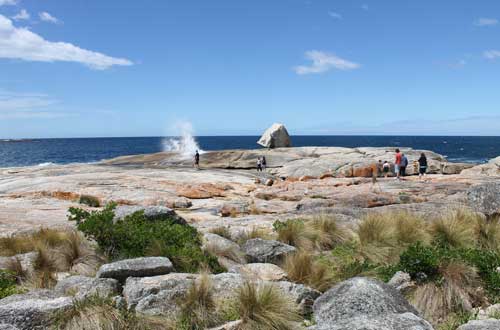 bicheno-blowhole-tasmania-australia