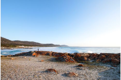 friendly-beaches-freyinet-national-park-person