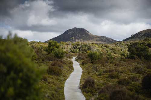 hartz-mountain-national-park-walkway-tasmania-australia-