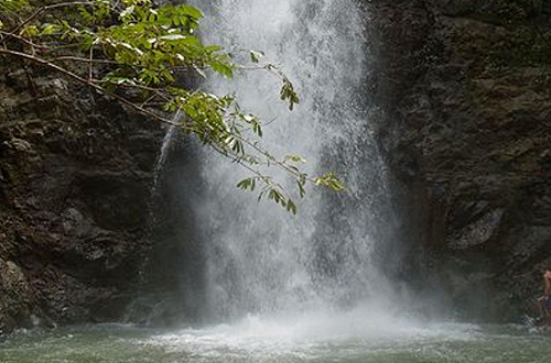 montezuma-falls-tasmania-waterfall