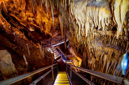 newdegate-cave-hastings-and-thermal-springs-tasmania-australia