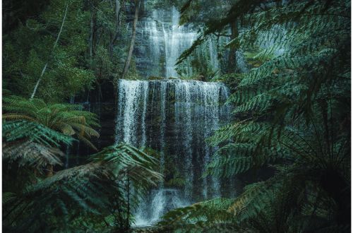 tasmania-australia-great-circle-russell-falls-waterfall-hike-mount-field-national-park