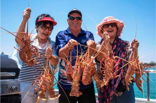 margaret-river-western-australia-mandurah-wild-seafood-cruise-experience-fishing-crayfish
