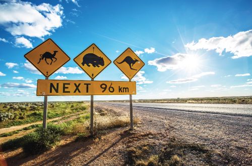 western-australia-nullarbor-plain-roadtrip-drive-wildlife-sign